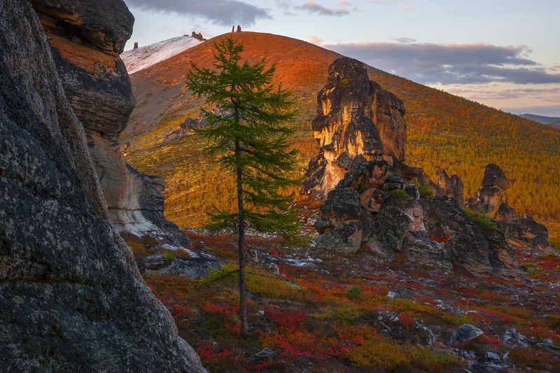 Среди оймяконских кисиляхов. фото превью