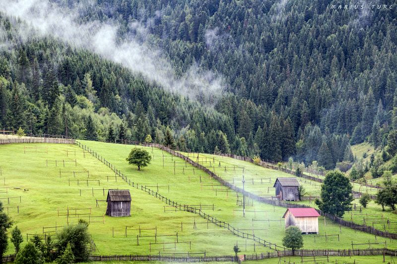mist,trees,fog,land,hills,nature Mistic place фото превью
