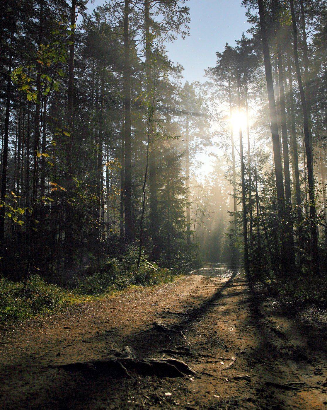 , Михаил Рева