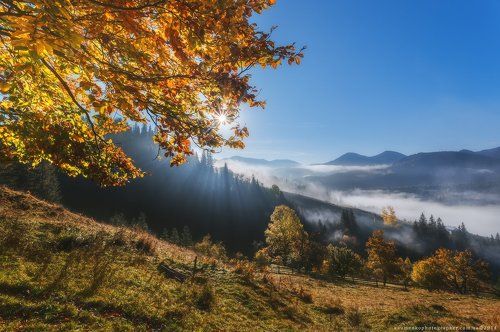 Карпаты. Дземброня. Золотая осень