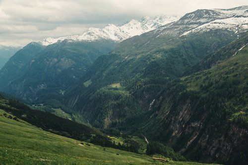 Альпийские мотивы