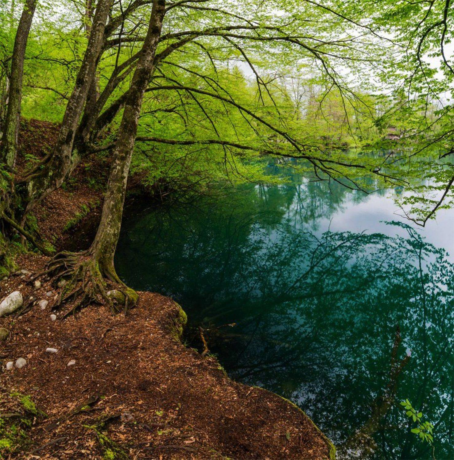 берег, весна, озеро, пейзаж, природа, Альберт Беляев