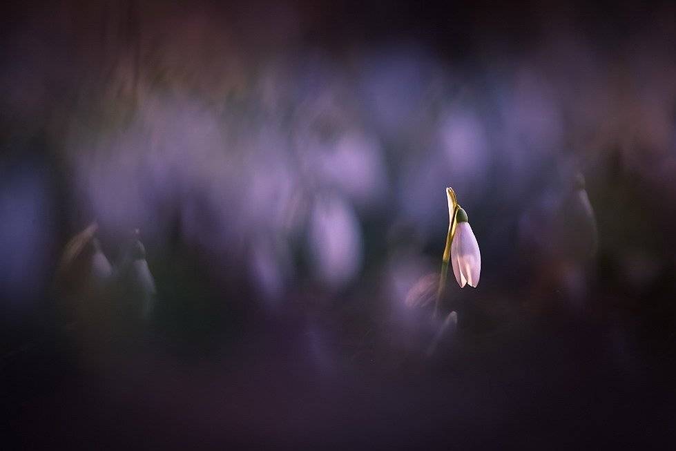 , Вячеслав Мищенко