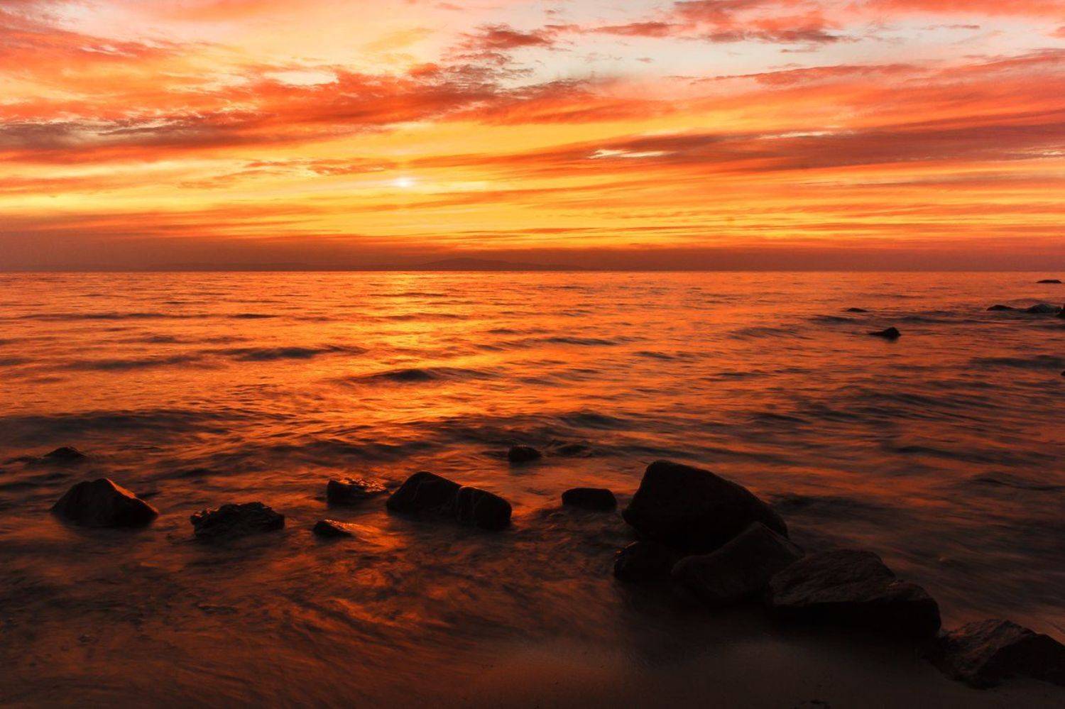 , Потапов Артём