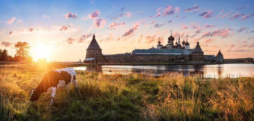 Соловецкая идиллия