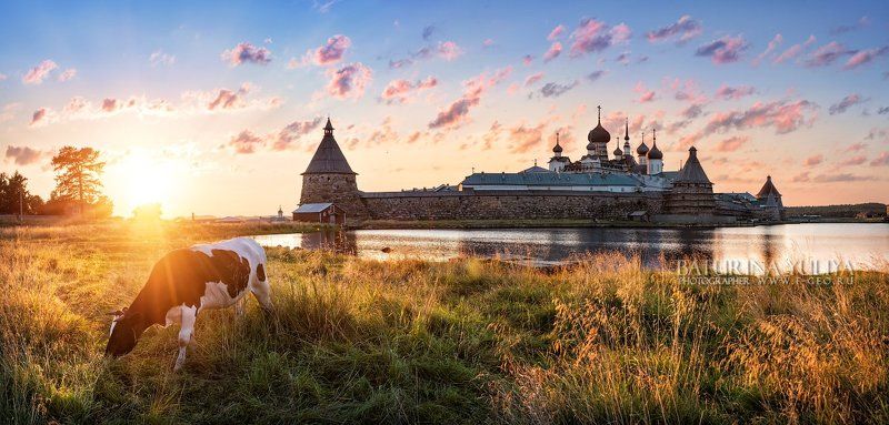 Соловецкая идиллия фото превью