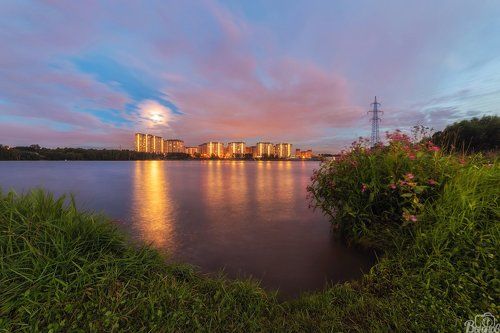На берегу Клязьминского водохранилища