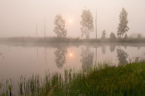 в тумане