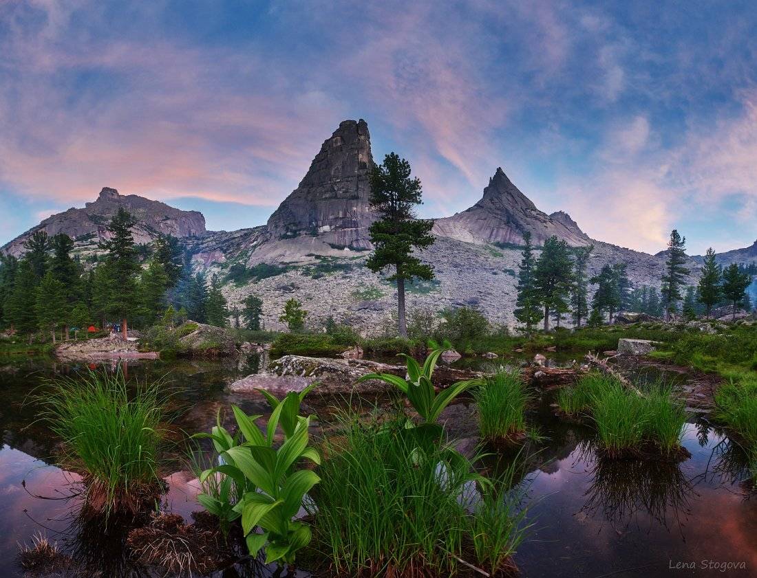 , Лена Стогова