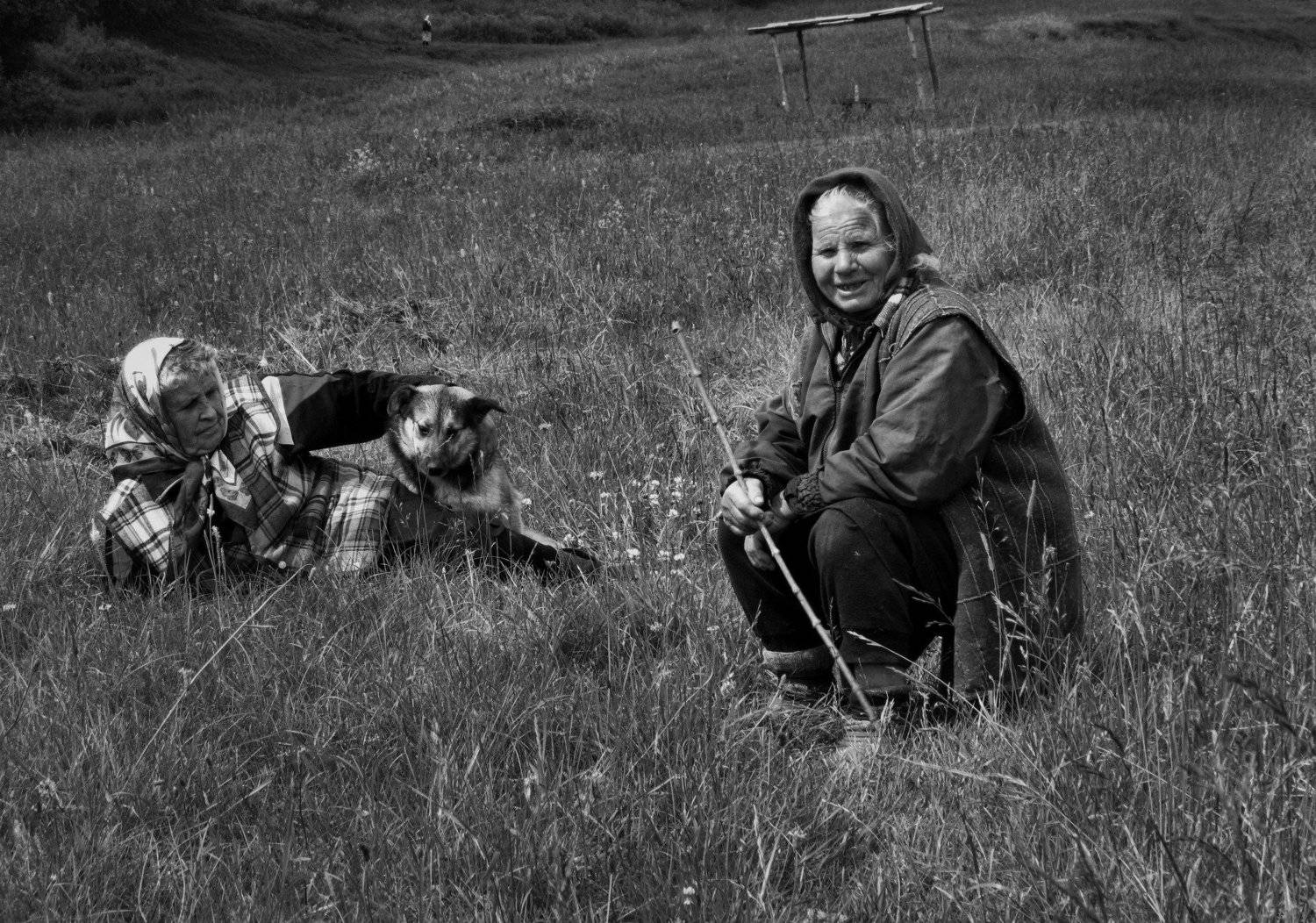 , Елена Бортникова