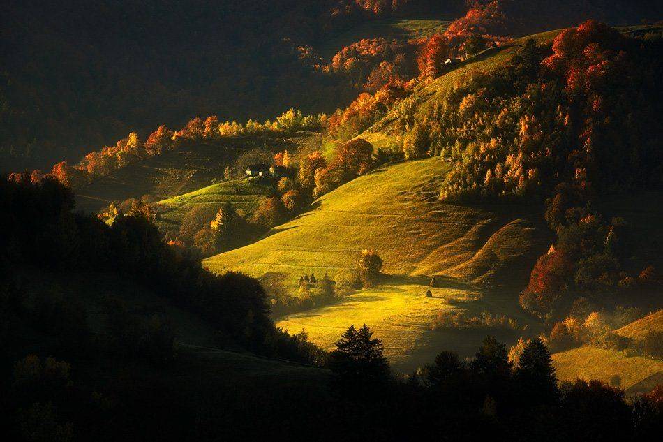 , Stefan Chirobocea