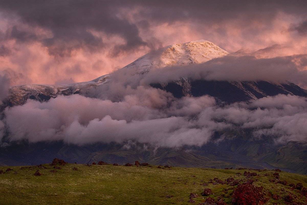 , Андрей Ершов