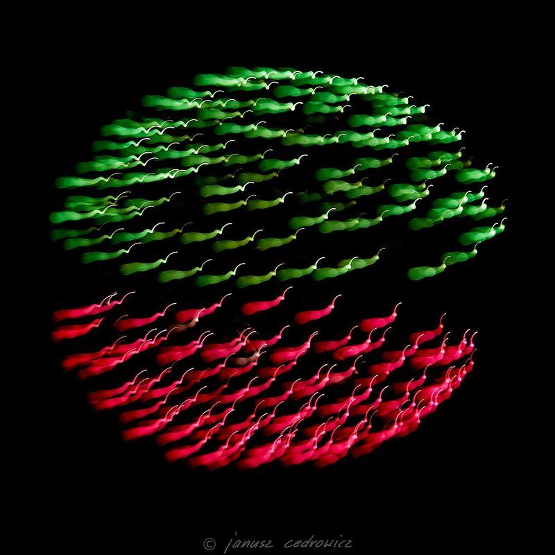 Abstract, Art, Color, Colorful, Colors, Explosion, Fireworks, Light, Lights, Night, Sky fireworxx фото превью