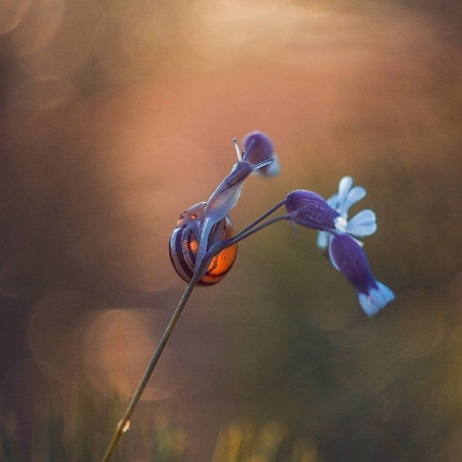 , Pawel Plucinski
