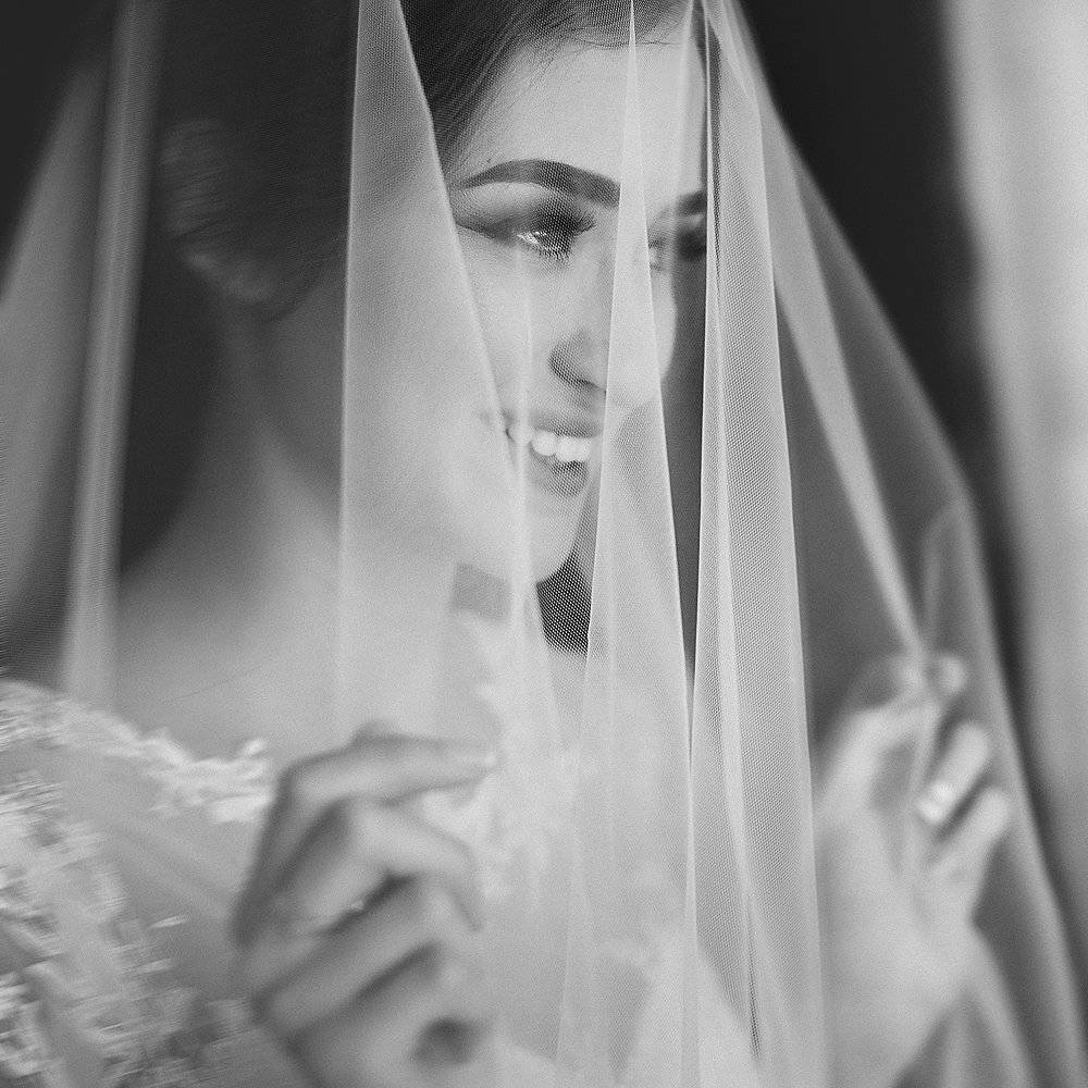 , тимур-тень