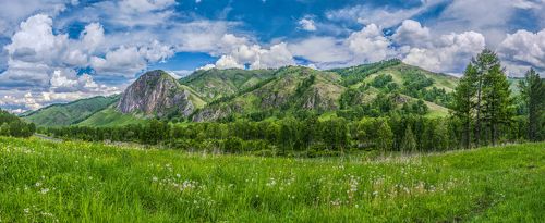 Облака и одуванчики