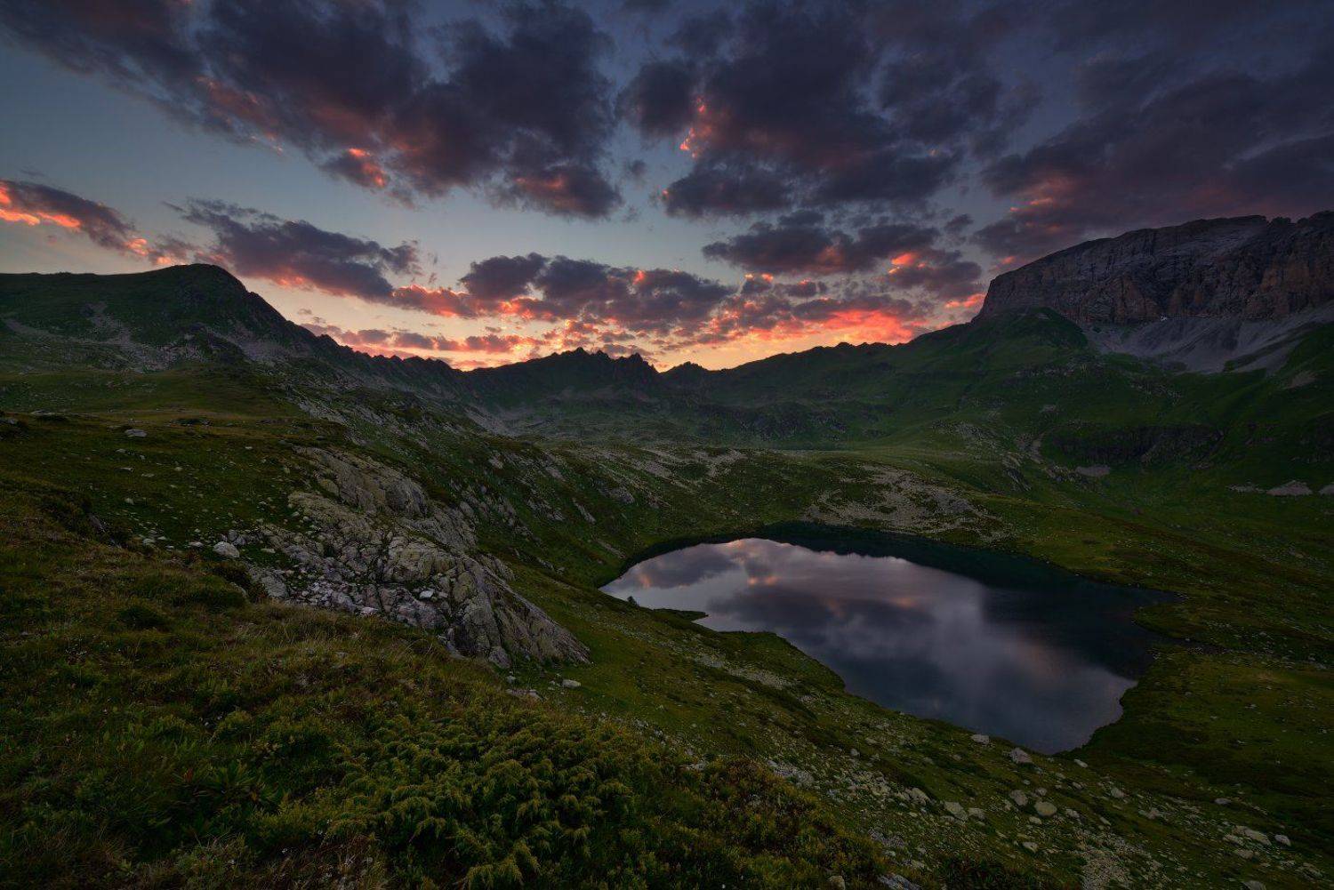 , Максим Евдокимов ( www.wildphotorus.ru )