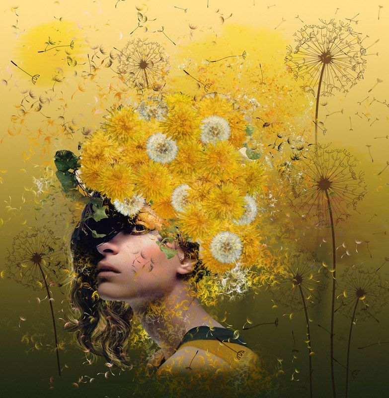 Девушка, Жёлтые цветы, Одуванчики Dandelions фото превью