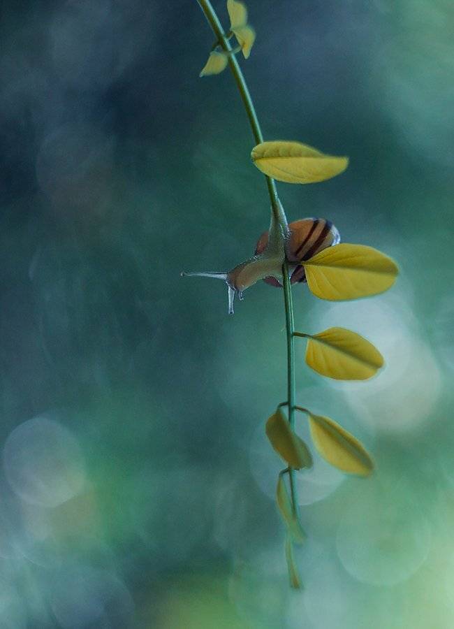 , Pawel Plucinski