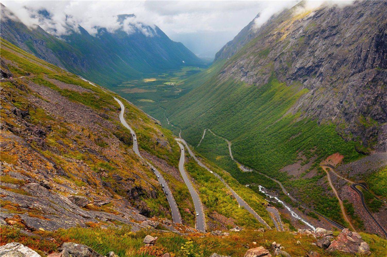 , Лариса Запатрина