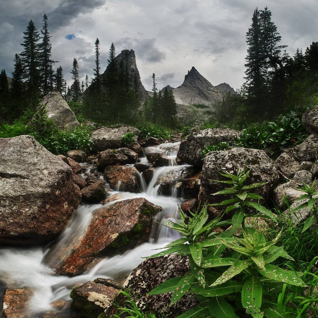 , Лена Стогова