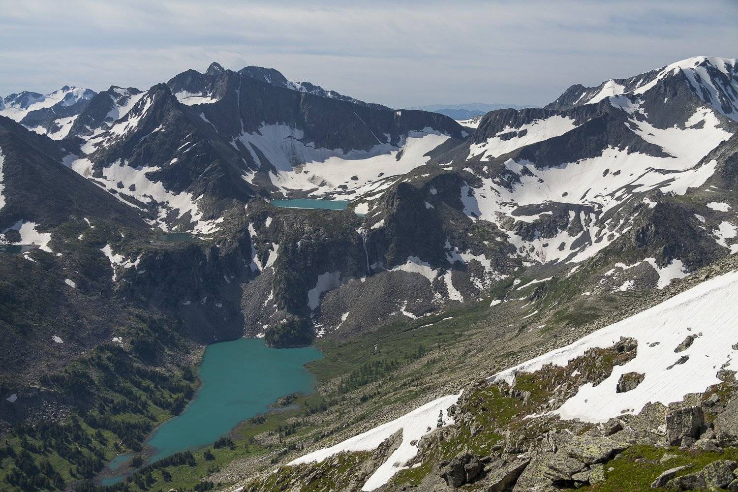 алтай, Дмитрий Кривопалов