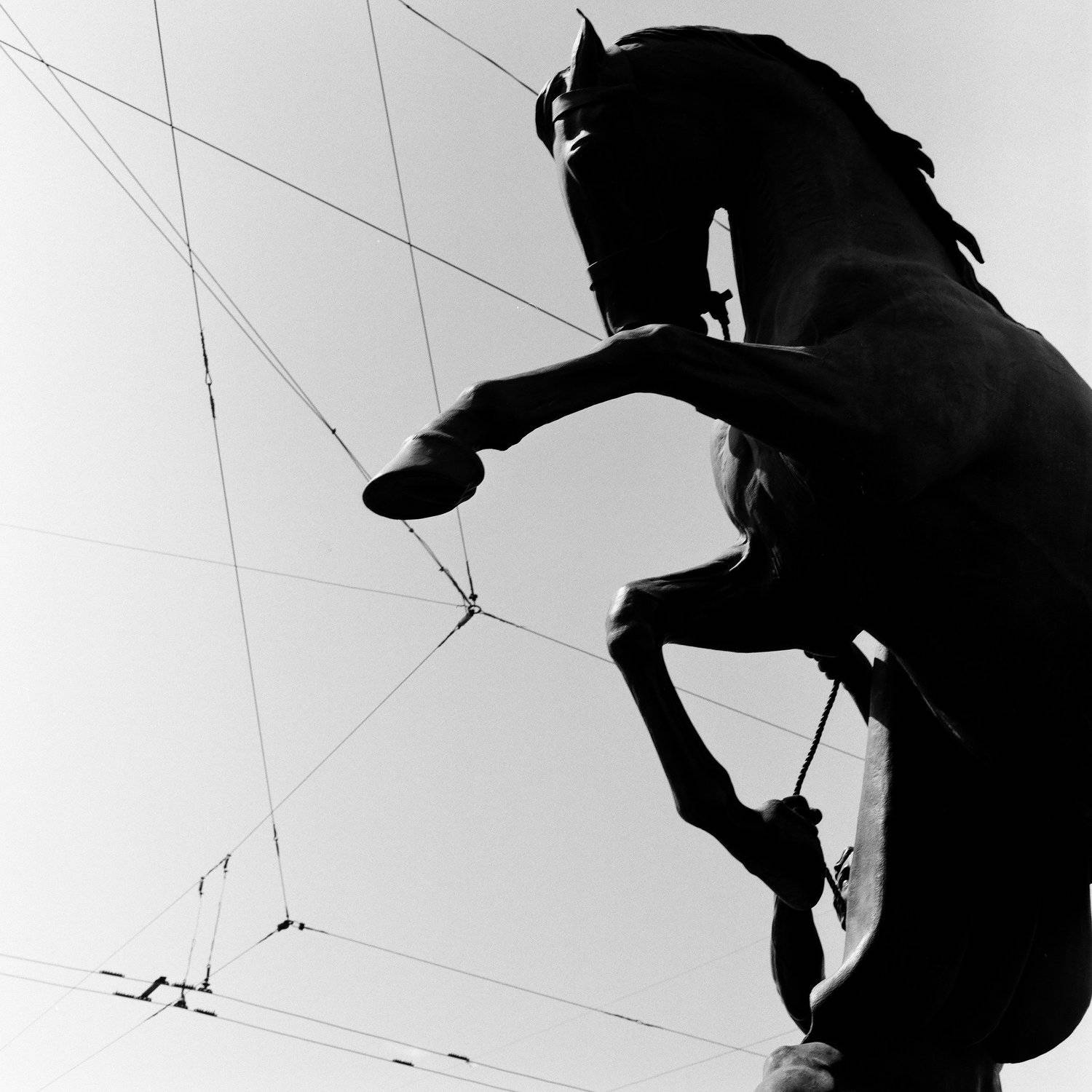 bw, black_and_white, film, 6x6, mediumformat, d76, blackandwhite, monochrome    , Виктор Митрофанов