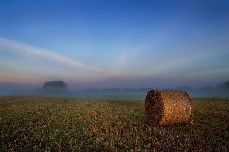 Clouds, Field, Fog, Forest, Mist, Sky Summer ends фото превью