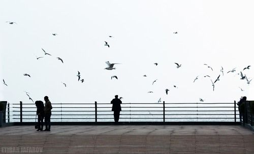 Бакинское дождливое утро