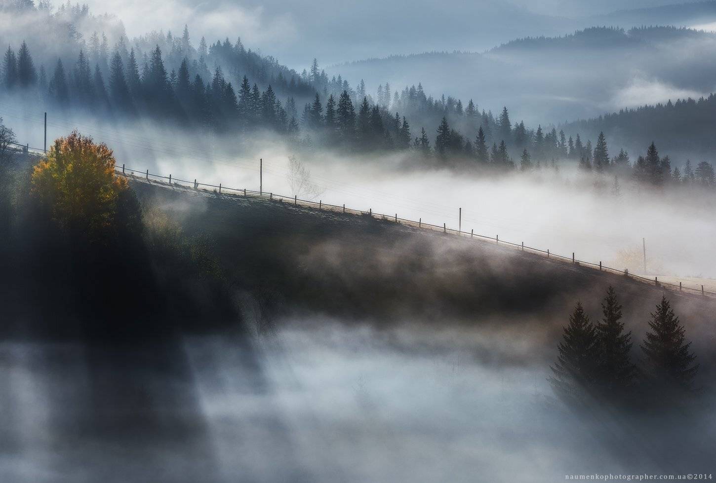 европа, украина, карпаты, дземброня, осень, пейзаж, солнце, рассвет, путешествия, туман, горы, лес, красивый, горы, дерево, природа, фон, декорации, сезон, осень, небо, красный, цвет, вид, окружающий, среда, утро, натуральный, дерево, сельский, сцена, кра, Александр Науменко