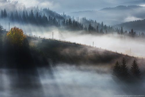 Карпаты. Дземброня. Осенний туман.