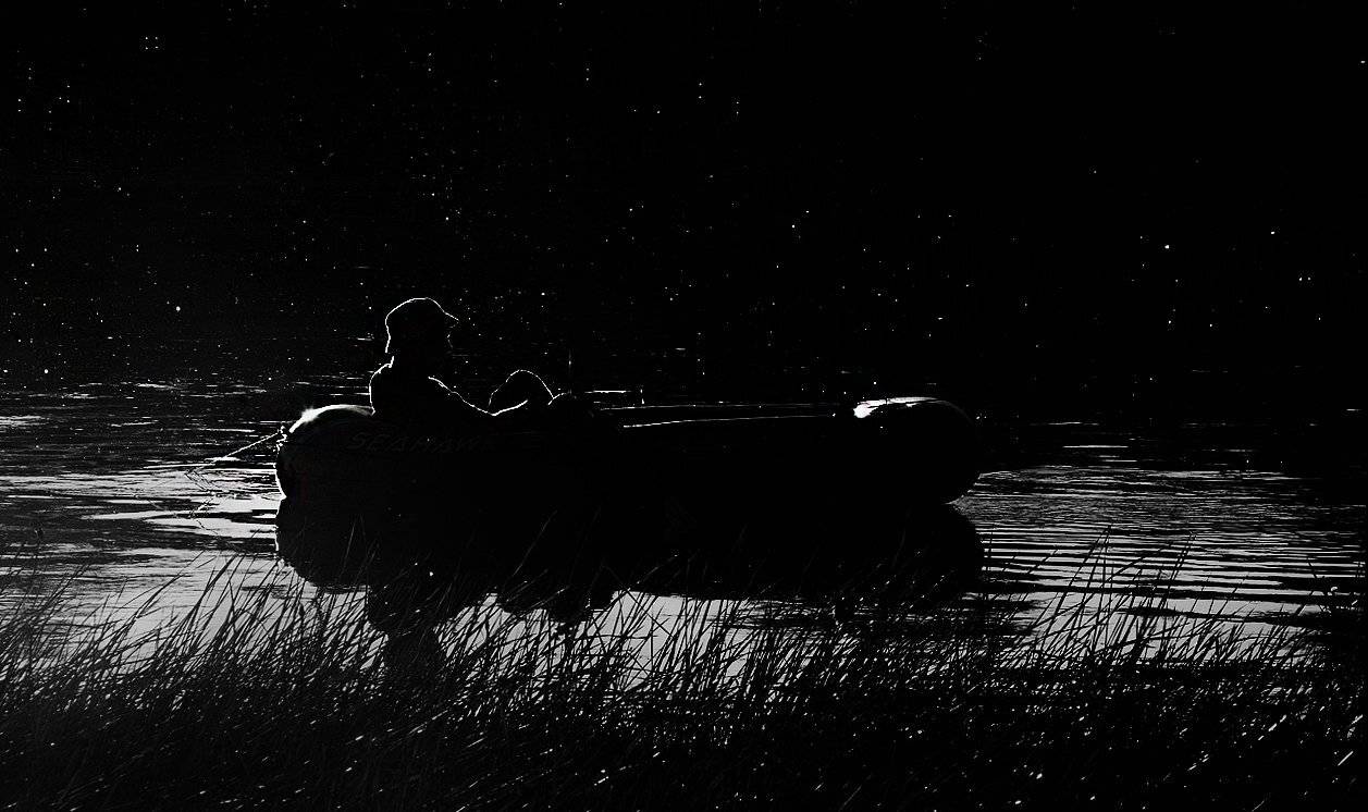 , Елена Бортникова