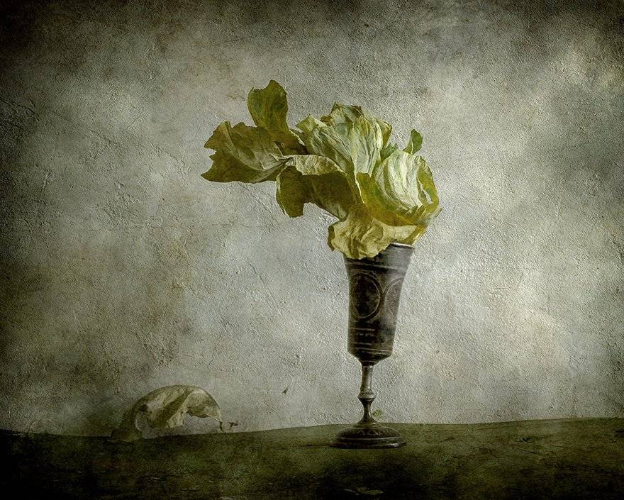 , Игорь Токарев