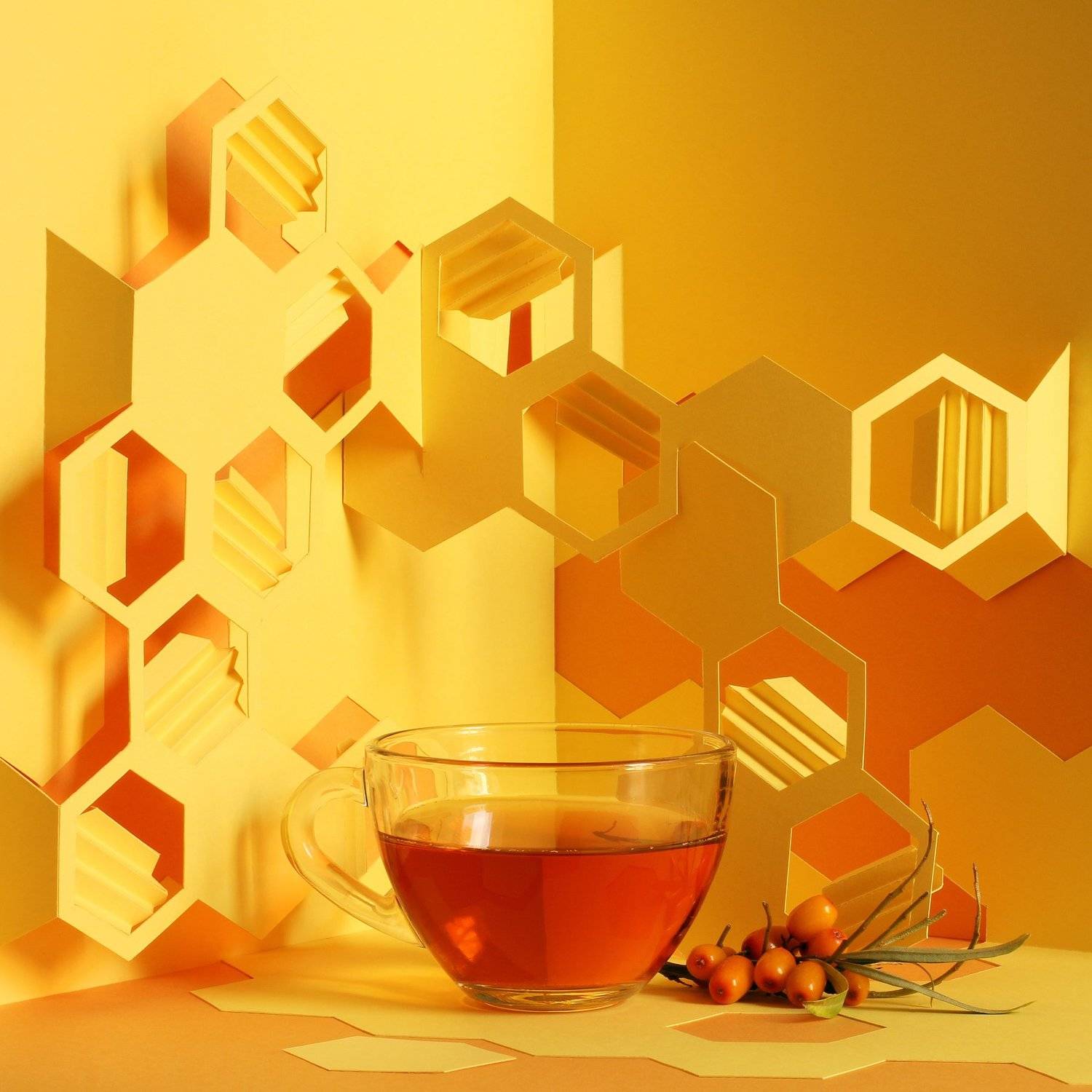 , Динеева Анна