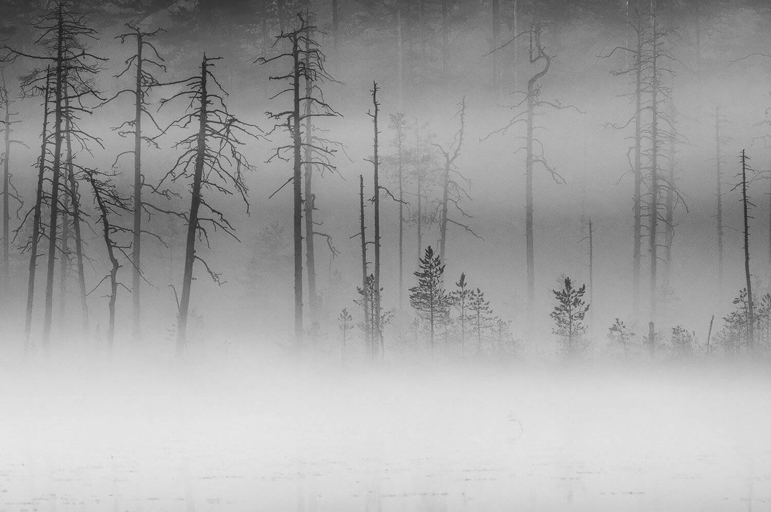 Карелия, Туман, Утро, Виктор