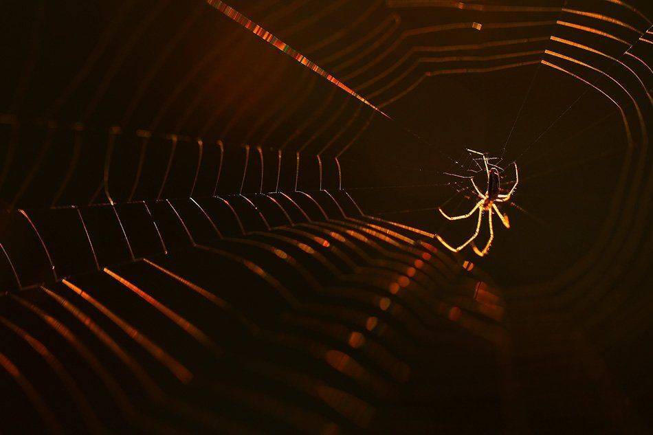 , Иваненко Светлана