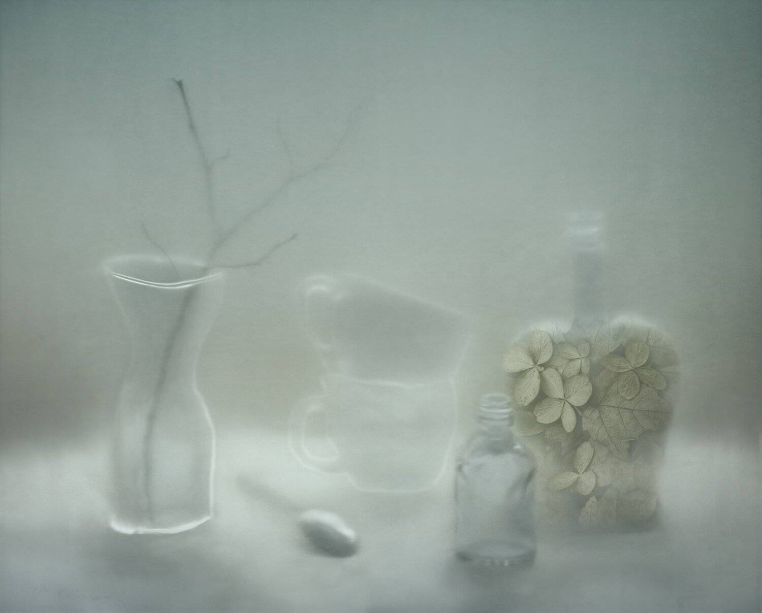 ветка, ваза, чашка, ложка, бутылка, стекло, Елена