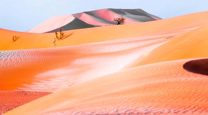 Скудная Флора Rub Al Khali фото превью