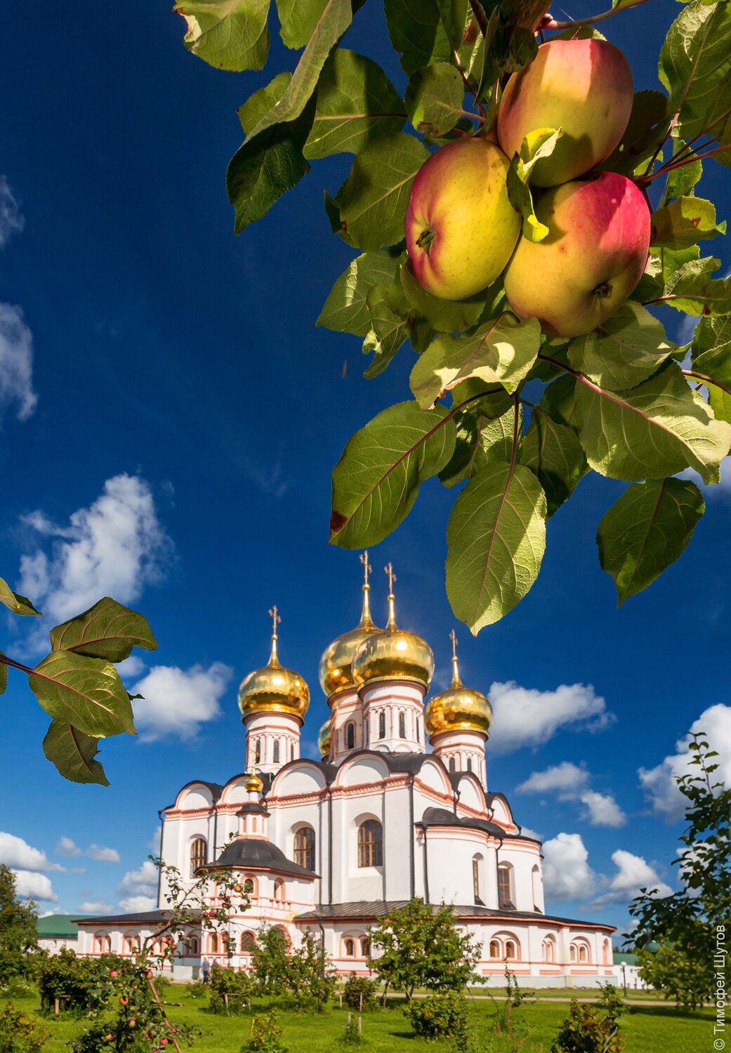 Яблочный Спас. Автор: Тимофей Шутов валдай, иверский монастырь, Тимофей Шутов