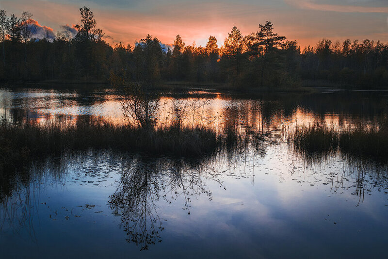 landscape, nature, sunset, lake, болото, закат, пейзаж, природа, озеро Закат на болоте. фото превью