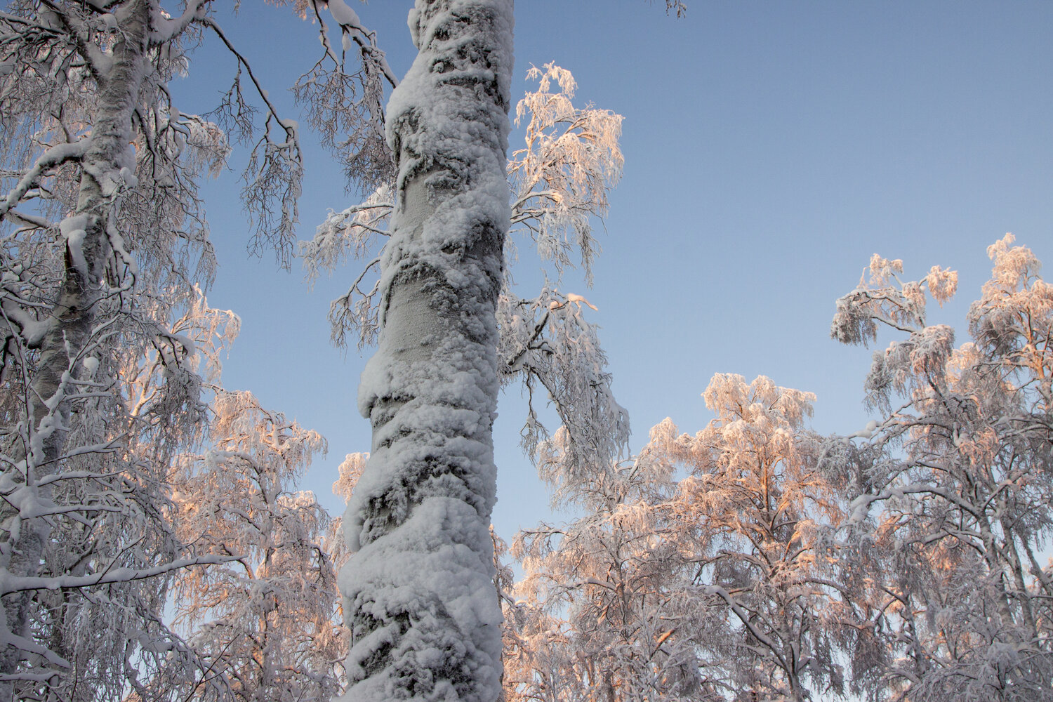 швеция,  Lapland