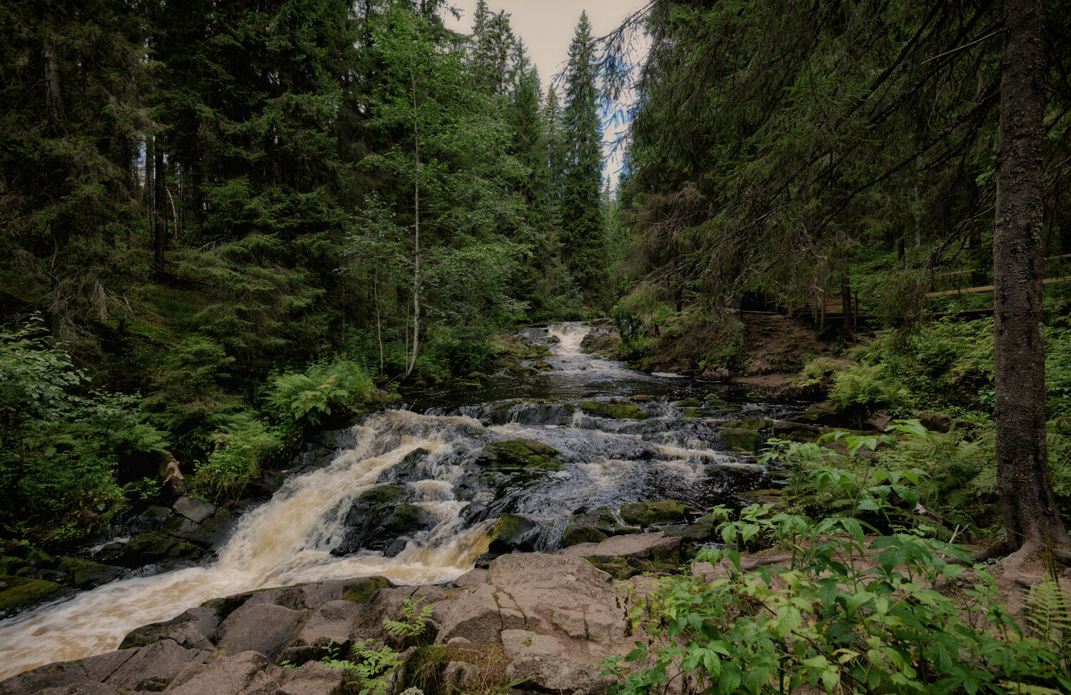 карелия., лес., долина, водопадов., Тихонов Дмитрий