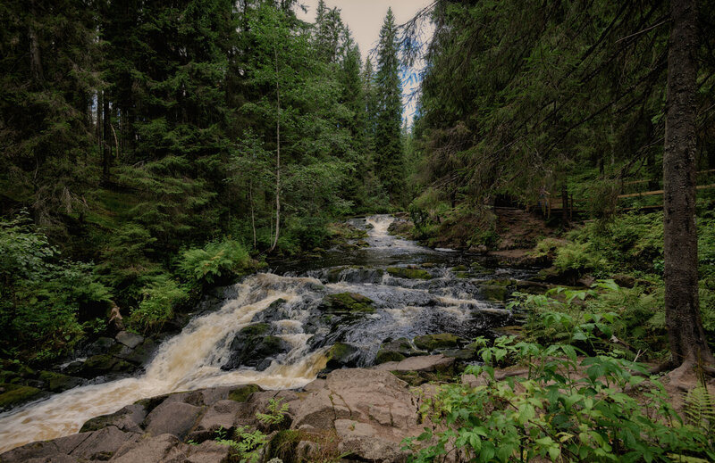 карелия., лес., долина, водопадов.  фото превью