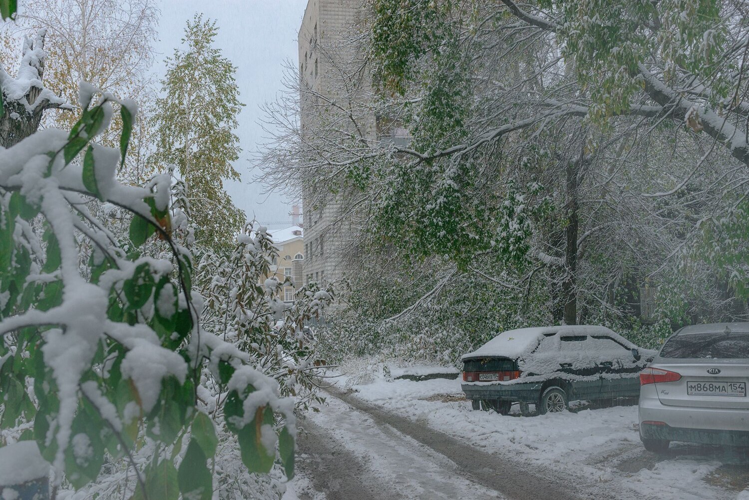 ,  Мария