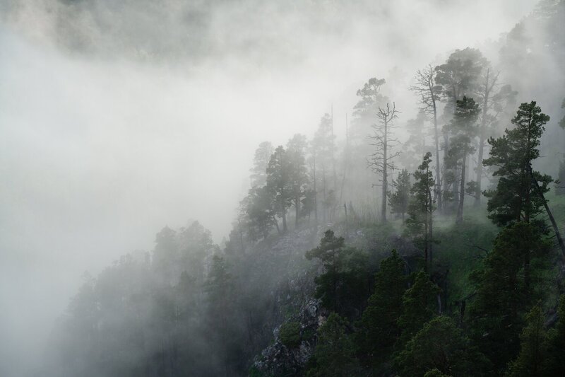 кавказ, адыгея, ачешбок, большой тхач, туман, лес, облака, вечер Туман фото превью