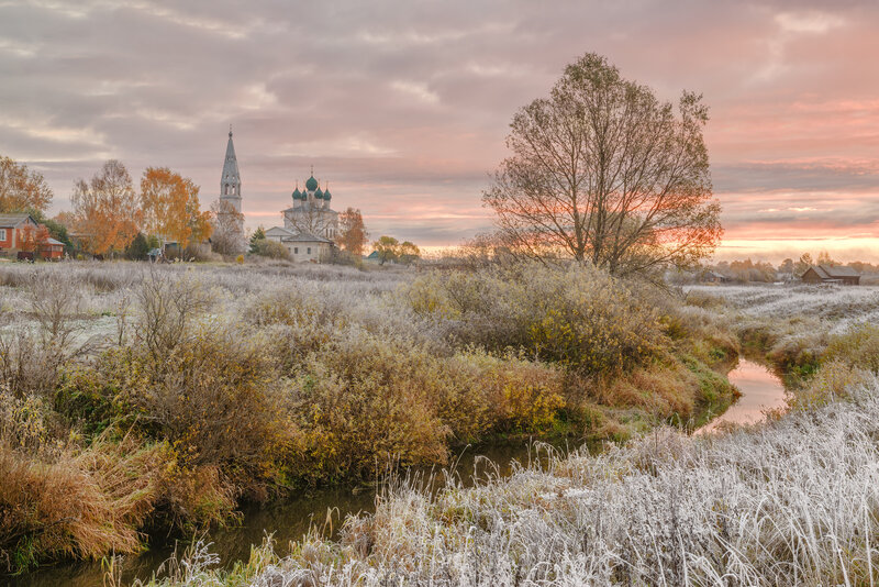 Заморозки.... фото превью
