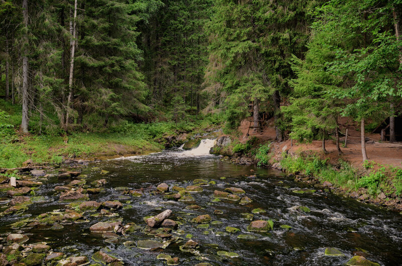 карелия., лес., долина, водопадов.  фото превью