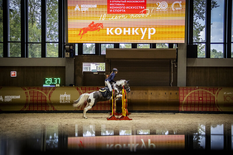 x, открытый, московский, фестиваль, конного X Открытый московский фестиваль конного искусства и спорта. ВДНХ, 21.08.2026 фото превью