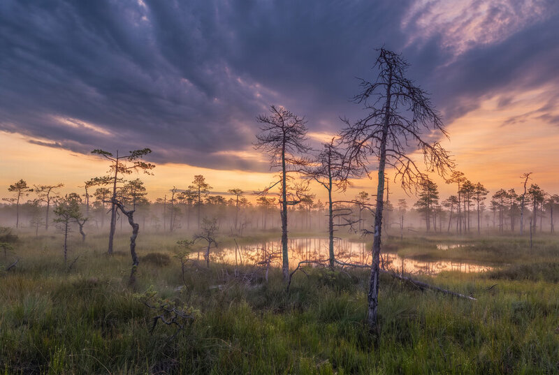 Приближение циклона Бернадетт фото превью