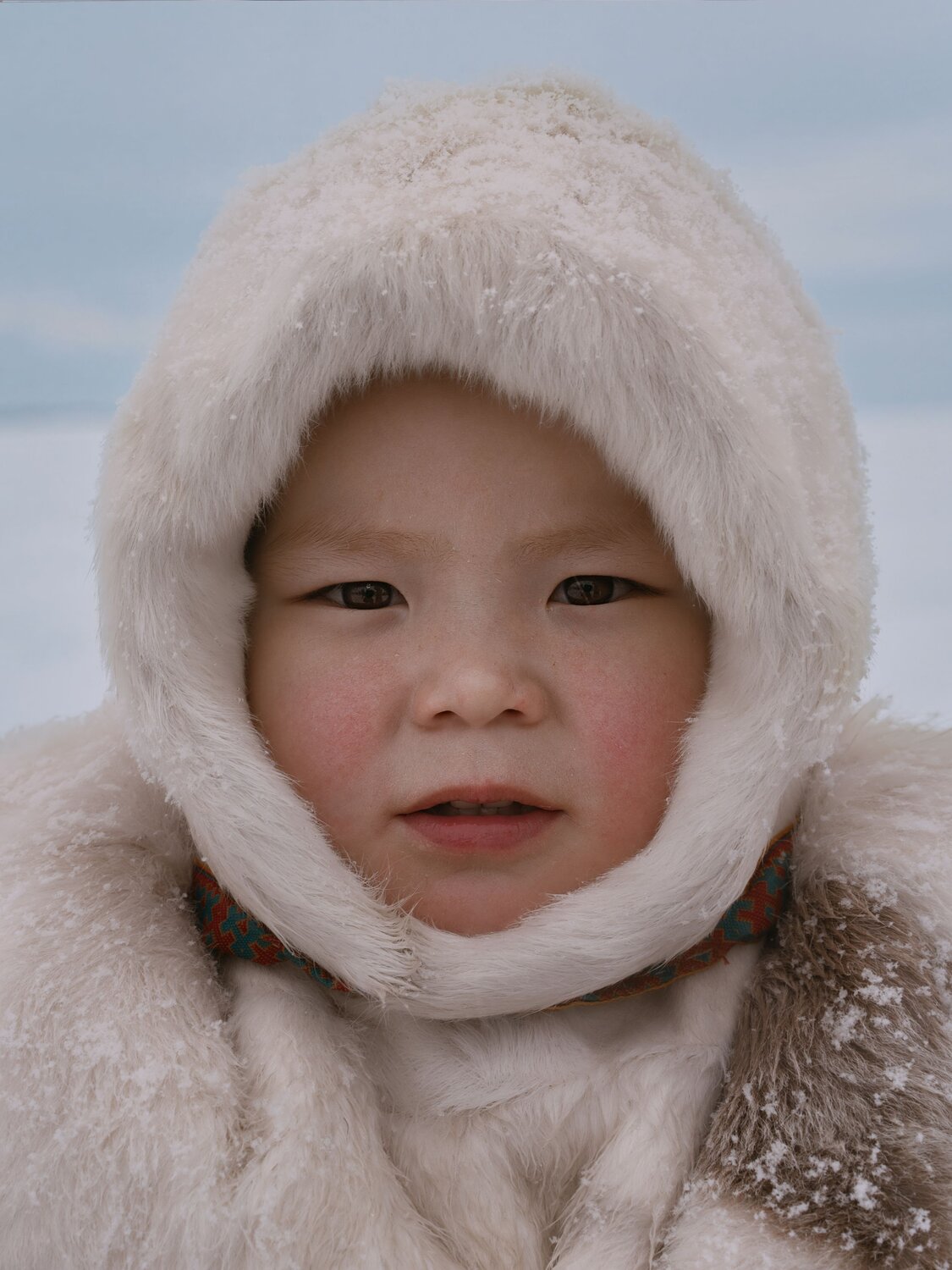 Faces of Yamal. Автор: Наташа Янкелевич , Наташа Янкелевич